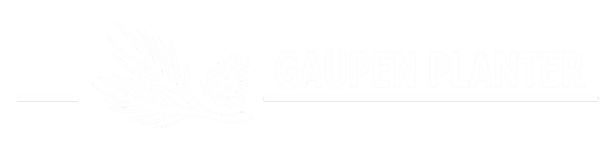 Logo, Gaupen Planter Rune Marstein